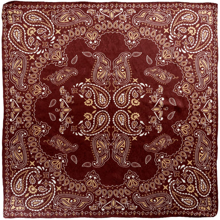 Wild Rags Paisley Burgundy/White