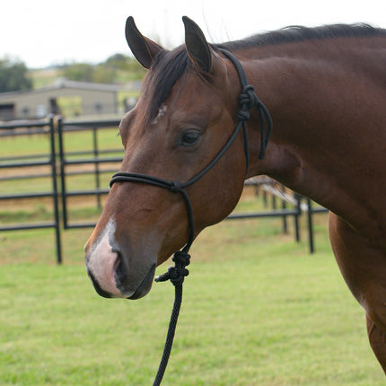 Professional's Choice EQ Rope Halter Black