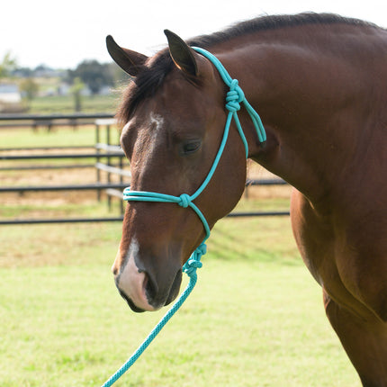Professional's Choice EQ Rope Halter Turquoise