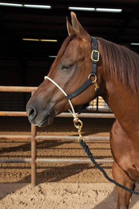 Nylon Halter Rope Nose Average