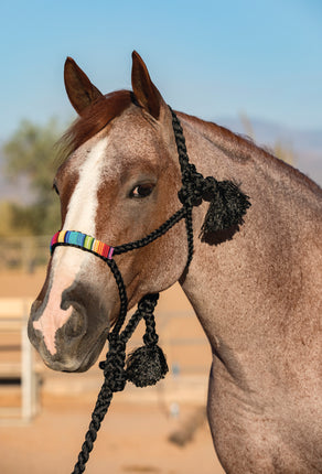 Professional's Choice Cowboy Braided Halter Beaded Black/Serape
