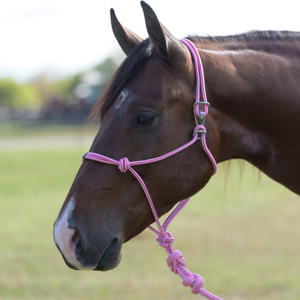 Professional's Choice Easy On Rope Halter Pink
