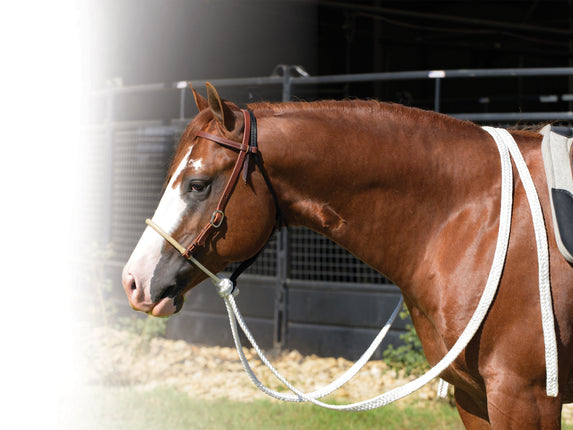 Professional's Choice Loping Hack Rawhide Nose