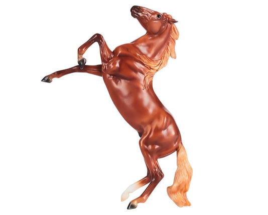 Chestnut Mustang