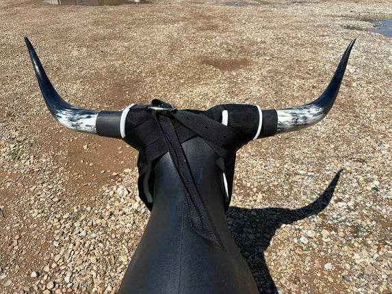 7K Super Horns