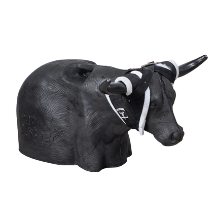 Leap Steer