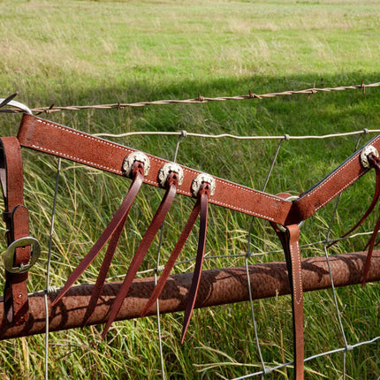Burnett Breastcollar