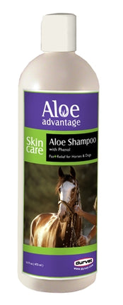 Aloe-Med Shampoo w/ Phenol