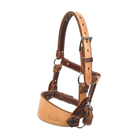 Barstow Leather Bronc Halter