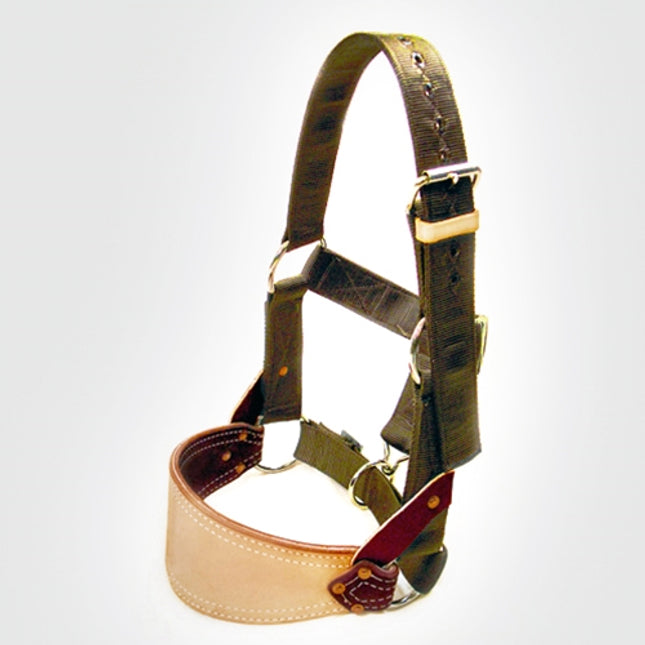Barstow Nylon Bronc Halter
