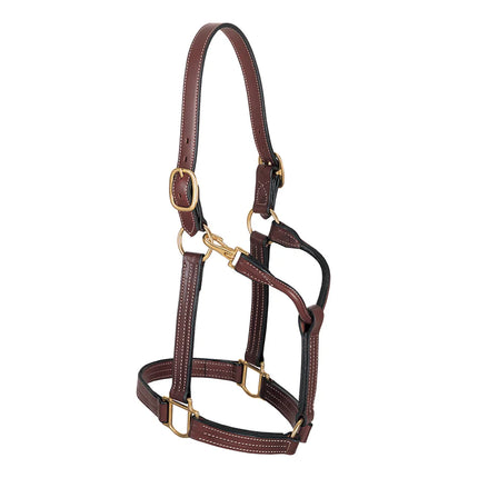 1" Thoroughbred Halter