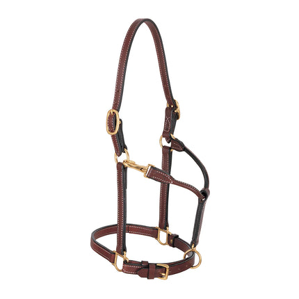 Weaver 3/4" Double Buckle Crown Halter Cob