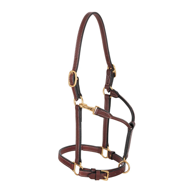 Weaver 3/4" Double Buckle Crown Halter Cob