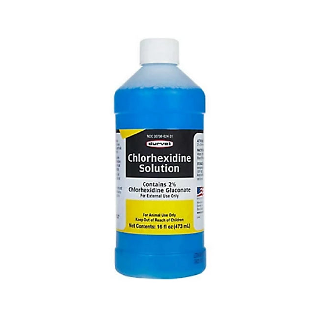 Chlorhexidine Disinfectant 16oz