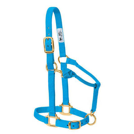 Weaver Adjustable Halter Weanling/Pony Hurricane Blue