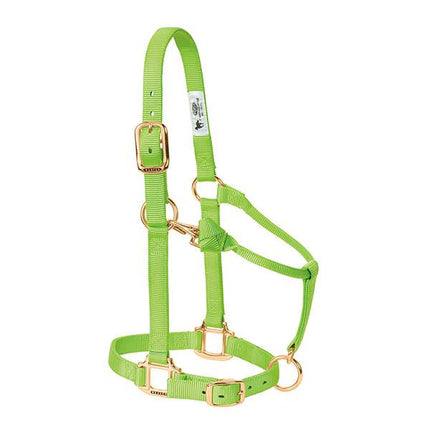 Weaver Adjustable Halter Large Lime Zest