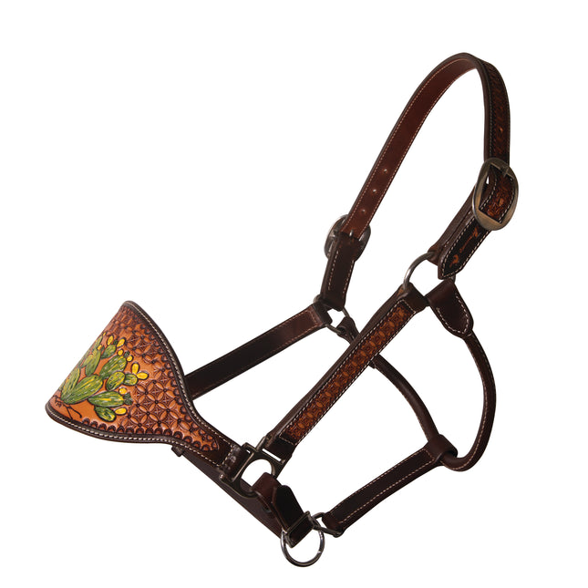 *PC Bronc Halter Cactus