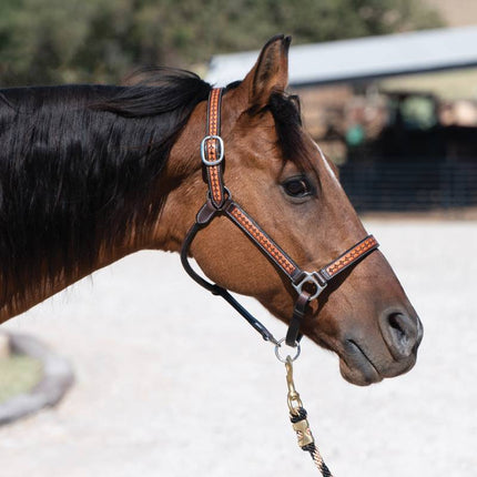 Leather Halter Diamond