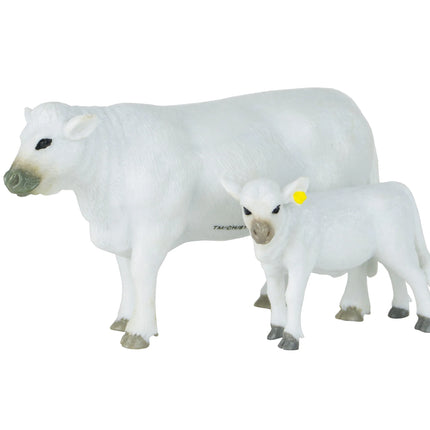 Charolais Cow & Calf