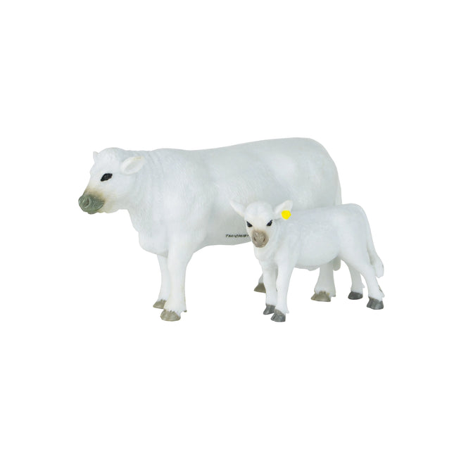 Charolais Cow & Calf