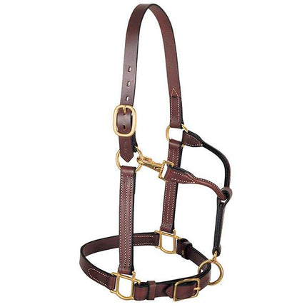 Weaver 1" 3 in 1 All Purpose Halter