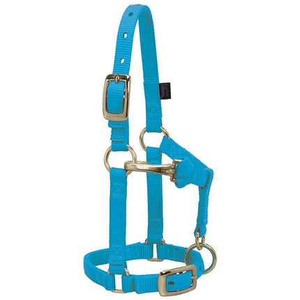 Weaver Adjustable Halter Mini Hurricane Blue