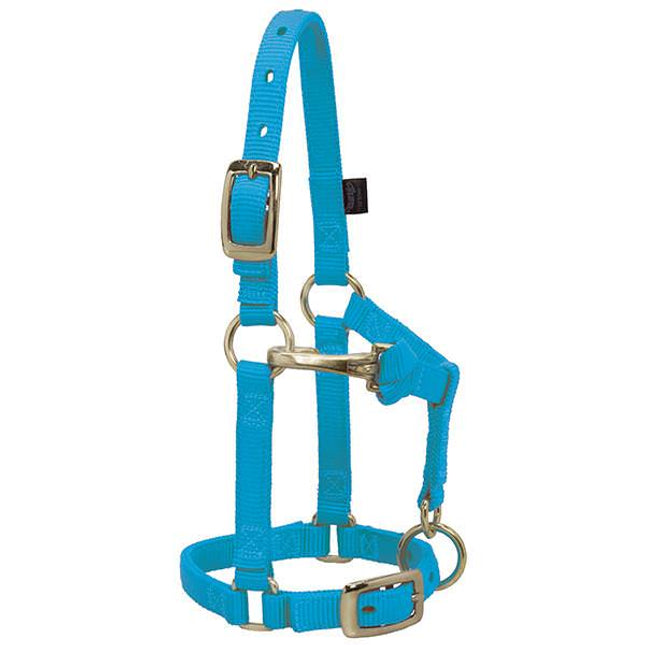 Weaver Adjustable Halter Mini Hurricane Blue