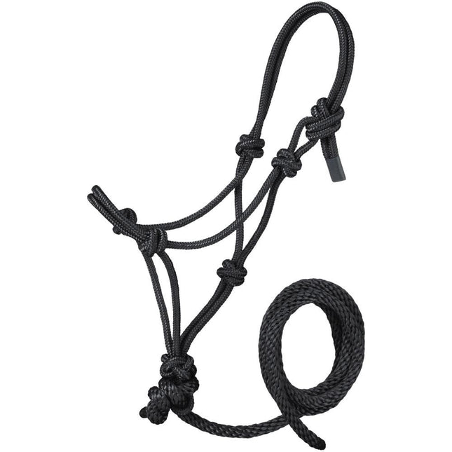 Mini Rope Halter w/ Lead