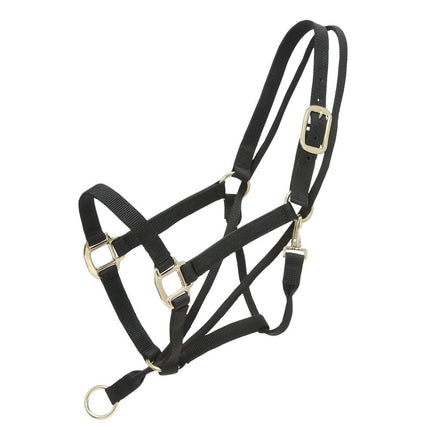 Pull Back Halter