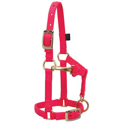 Weaver Adjustable Halter Mini Diva Pink