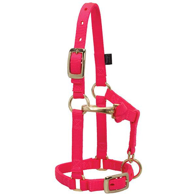 Weaver Adjustable Halter Mini Diva Pink