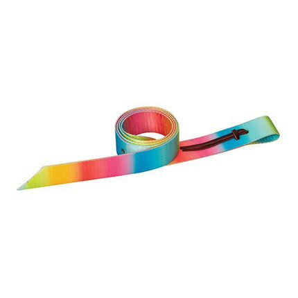 Weaver Nylon Tie Strap Rainbow