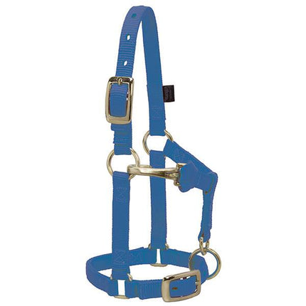 Weaver Adjustable Halter Mini Blue