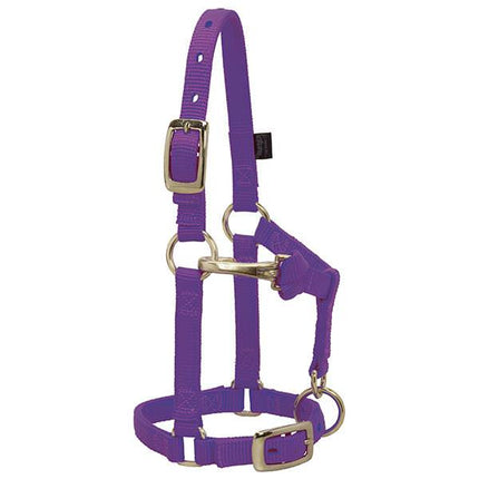 Weaver Adjustable Halter Mini Purple