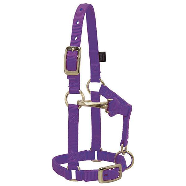 Weaver Adjustable Halter Mini Purple