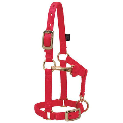 Weaver Adjustable Halter Mini Red