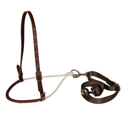 PC Laced Rope Tiedown Set PONY