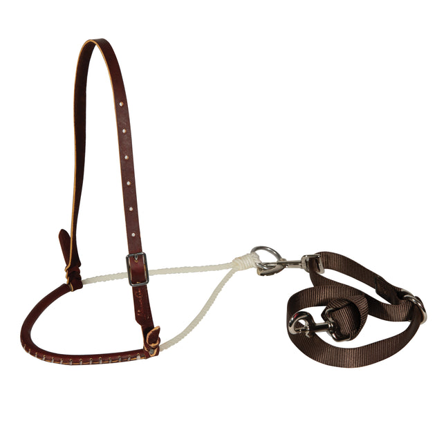 PC Laced Rope Tiedown Set PONY