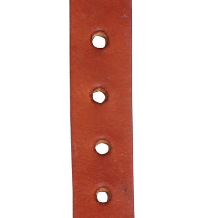 PC Spur Straps Sagebrush X