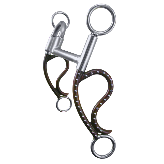 Tom Balding Bighorn Shank Correction