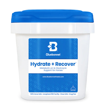 Hydrate + Recover™ (Turbo Mag BCAA)