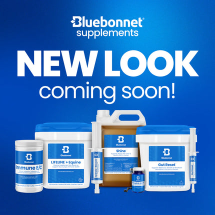 Immune Rescue Program™ (Immune Health Program)