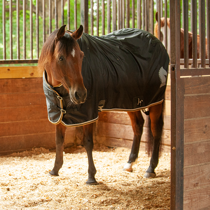 Classic Stable Sheet with Open Front Black