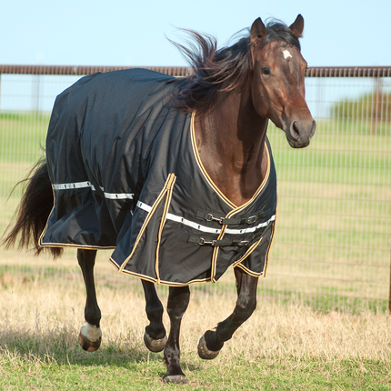 Classic 5K Cross Trainer Winter Blanket Black