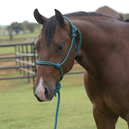 Professional's Choice EQ Rope Halter Emerald