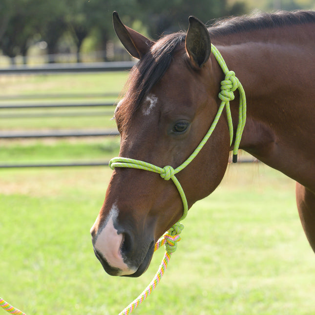 Professional's Choice EQ Rope Halter Lime/Pink