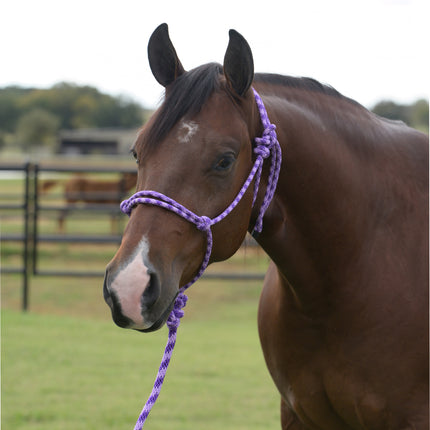 Professional's Choice EQ Rope Halter Purple/Lilac