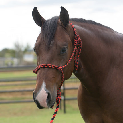 Professional's Choice EQ Rope Halter Red/Black