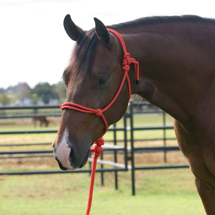 Professional's Choice EQ Rope Halter Red