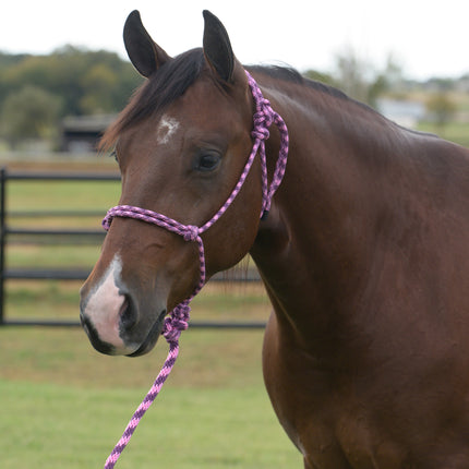 Professional's Choice EQ Rope Halter Wine/Pink